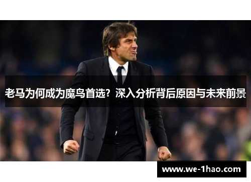 老马为何成为魔鸟首选？深入分析背后原因与未来前景