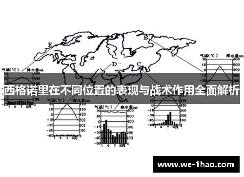 西格诺里在不同位置的表现与战术作用全面解析