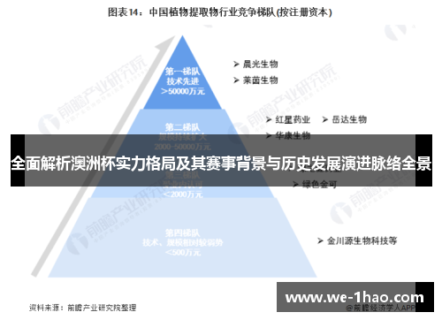 全面解析澳洲杯实力格局及其赛事背景与历史发展演进脉络全景 全面解析澳洲杯实力格局及其赛事背景与历史发展演进脉络全景