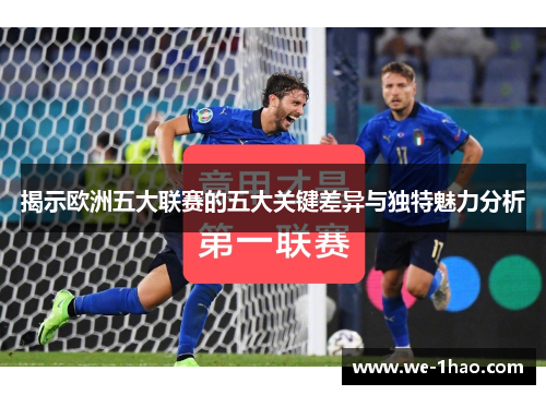 揭示欧洲五大联赛的五大关键差异与独特魅力分析