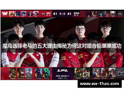魔鸟选择老马的五大理由揭秘为何这对组合能屡屡成功